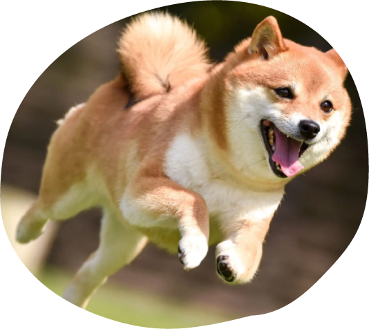 ペットの預かり可♪